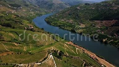 空中观景。 多罗河流域美丽的葡萄园。 葡萄牙